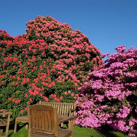 Park Belvedere Hotel 3*