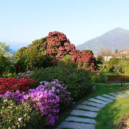 Park Belvedere فندق