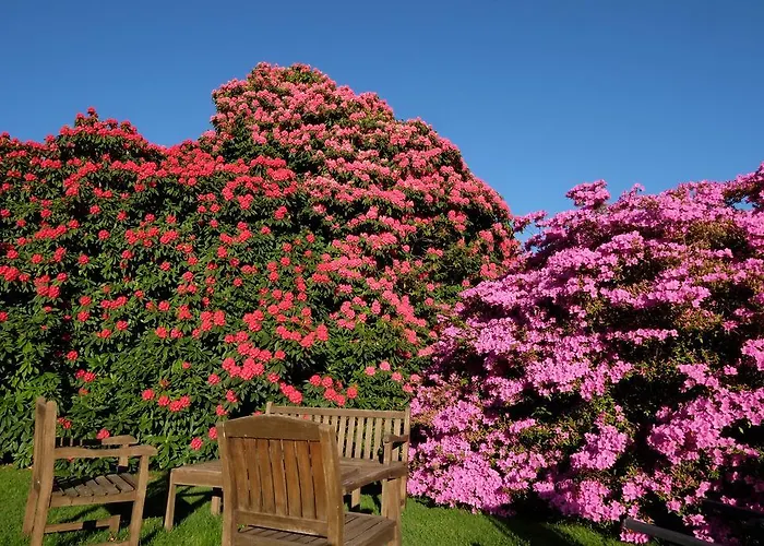 Park Belvedere 호텔 3*