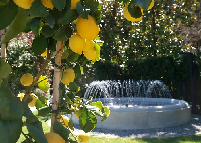 Park Belvedere Отель Каннобио